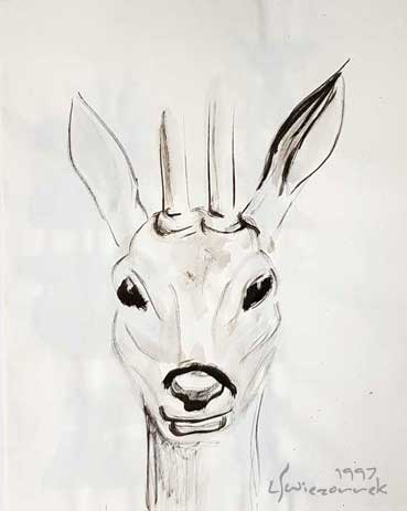 Reh - Tusche auf Papier